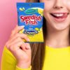 SWEDISH FISH Blue Raspberry Lemonade Soft & Chewy Candy, 12-8.04 oz Bags - Image 10