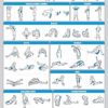 Palace Learning 4 Pack - Dumbbell Workouts + Bodyweight Exercises + Stretching Exercises + Cable Machine Workouts - Set of 4 Workout Charts (LAMINATED, 18” x 24”) - Image 4
