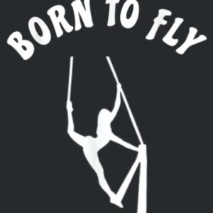 Born To Fly I Love Aerial Dance Aerial Silks Aerial Yoga: Notebook Planner -6x9 inch Daily Planner Journal, To Do List Notebook, Daily Organizer, 114 Pages