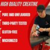 Creatine Monohydrate Capsules 5g of Creatine per Serving - 30 Servings by TNT Evolution - Muscle Endurance Growth and Repair - High Absorption Rate - Easy to Swallow - (Pack of 1) - Image 4
