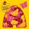 Annie's Organic Bees, Bugs, and Butterflies Fruit Flavored Snacks, 10 Pouches, 7 oz. - Image 4