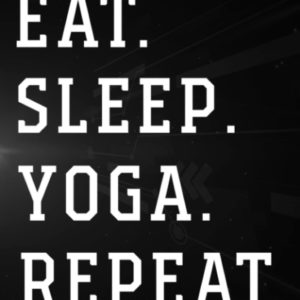 Treasure Hunting Log Book - Aerial Yoga Silks Women Eat Sleep Fly Repeat Graphic: Yoga, Journal To Keep Record Of Treasure Name, Date, Location, ... & Notes - Gifts For Treasure Hunters,Go