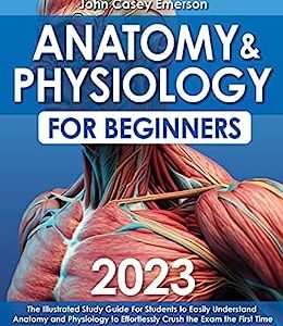 Anatomy & Physiology for Beginners 2023: The Illustrated Study Guide For Students to Easily Understand Anatomy and Physiology to Effortlessly Crush the Exam the First Time