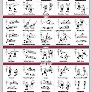 QuickFit Resistance Bands Workout Exercise Poster - Double Sided (Laminated, 18" x 27")