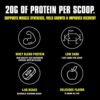 Animal 100% Whey Protein Powder – Whey Blend for Pre- or Post-Workout, Recovery or an Anytime Protein Boost– Low Sugar – Chocolate, 1.8 lb - Image 4