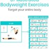 Vive Workout Posters 3 Pack - Bodyweight, Yoga, Stretching Exercise Pack - Home Equipment Accessories Fitness Guide Chart Motivation Sequence for Women, Men, Kids - Laminated, Colored Illustrations - Image 2