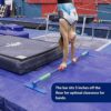 Tumbl Trak Perfect Placement Pirouette Gymnastic Low Floor Bar - Image 5