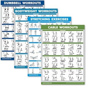 Palace Learning 4 Pack - Dumbbell Workouts + Bodyweight Exercises + Stretching Exercises + Cable Machine Workouts - Set of 4 Workout Charts (LAMINATED, 18” x 24”)