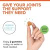 Qunol Turmeric Gummies, Gummy with 500mg Turmeric Curcumin, Joint Support Supplement, Ultra High Absorption Tumeric Curcumin, Vegan, Gluten Free, 90 Count - Image 5