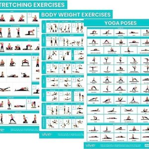 Vive Workout Posters 3 Pack - Bodyweight, Yoga, Stretching Exercise Pack - Home Equipment Accessories Fitness Guide Chart Motivation Sequence for Women, Men, Kids - Laminated, Colored Illustrations
