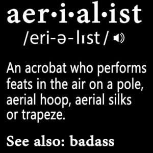 Aerialist Definition Notebook:: Aerialist Practice Writing Diary Ruled Lined Pages Book 120 Pages 6 x 9 Gift for aerial silk aerial hoop