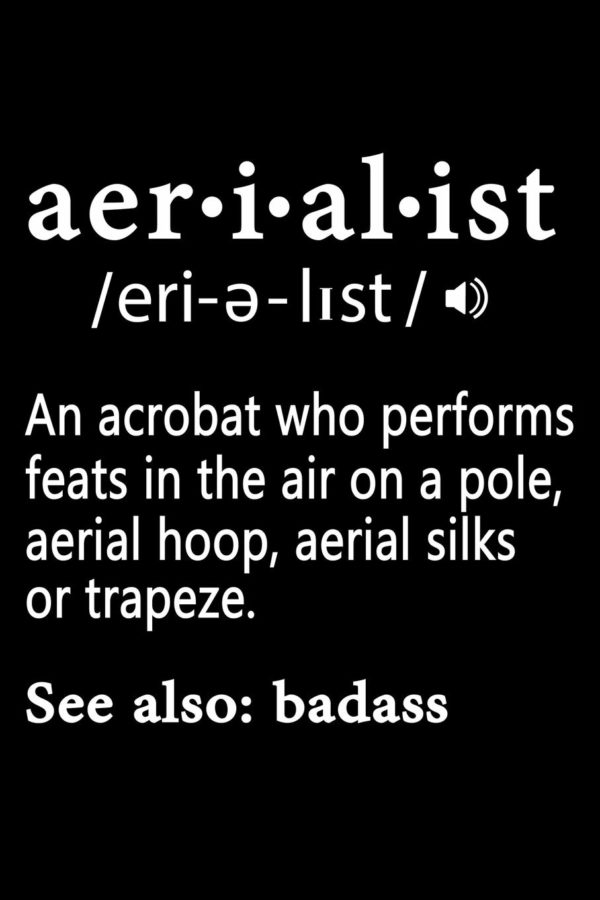 Aerialist Definition Notebook:: Aerialist Practice Writing Diary Ruled Lined Pages Book 120 Pages 6 x 9 Gift for aerial silk aerial hoop