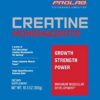PROLAB Creatine Monohydrate 300g, Best Micronized Creatine Powder, Sports Nutrition Supplement, Increased Muscle Mass, Strength, Endurance, Power - Image 5