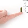 Garden of Life D3 - Vitamin Code Whole Food Raw D3 Vitamin Supplement, 2000 Iu, Dairy and Gluten Free, Vegetarian, 120 Capsules D3 with Organic Green Cracked Wall Chlorella Plus Probiotics - Image 8