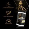 PVL Creapure Creatine - 100% Pure German Creatine monohydrate Powder - 86 Servings - 410 g - Image 4