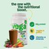 Vega Essentials Vegan Protein Powder Raspberry Blackberry (18 Servings) Superfood Ingredients, Vitamins, Antioxidants, Low Carb, Dairy Free Pea Protein for Women & Men 1.6lbs (Packaging May Vary) - Image 5