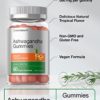 Ashwagandha Gummies for Women and Men | 60 Count | Vegan, Non-GMO, & Gluten Free Supplement | Natural Tropical Flavor | by Horbaach - Image 3
