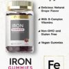 Carlyle Iron Gummies | Plus B-Complex Vitamins | 60 Vegan Gummies | Natural Grape Flavor | Non-GMO, Gluten Free Supplement - Image 3