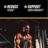 Outwork Nutrition Pre-Workout Supplement with Nootropics - Energy & Mental Focus for Better Workouts - Backed by Science (Piña Colada, 236 Grams) - Image 2