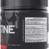 Pure Creatine Monohydrate 100 Serving | Creatine Powder for Strength and Muscle Growth | Workout Supplements - Image 2