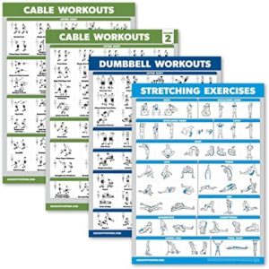 4 Pack - Cable Machine Workout Posters Volume 1 & 2 + Dumbbell Exercises + Stretching Exercises (LAMINATED, 18" x 24")