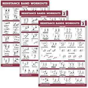 Palace Learning 3 Pack - Resistance Bands Workout Exercise Posters Volume 1, 2 & 3