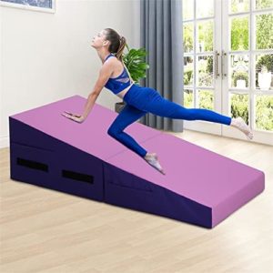CL.HPAHKL Gymnastics Mat 48x24 Inch Incline Tumbling Mat Indoor Folding Wedge Incline Gymnastics Mat with Non-slip PVC Surface, Zipper Seal Design & Handles, Cheese Wedge Exercise Mat for Yoga,Pink