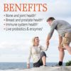 Garden of Life D3 - Vitamin Code Whole Food Raw D3 Vitamin Supplement, 2000 Iu, Dairy and Gluten Free, Vegetarian, 120 Capsules D3 with Organic Green Cracked Wall Chlorella Plus Probiotics - Image 2