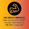 GNC AMP Tri-Phase Multi-Action Pre-Workout - Cherry Limeade - 12.8 oz - Image 5