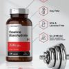 Creatine Monohydrate Capsules | 3500mg | 300 Count | Non-GMO and Gluten Free Supplement | by Horbaach - Image 4