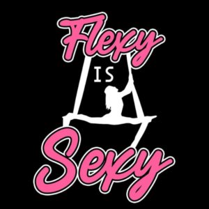 Aerial Silks Flexy Sexy Aerial Silk Aerialist Circus Acrobat Acrobatics Notebook: Collection Journal Subject 100 Lined pages 8.5x11 College Ruled Paper