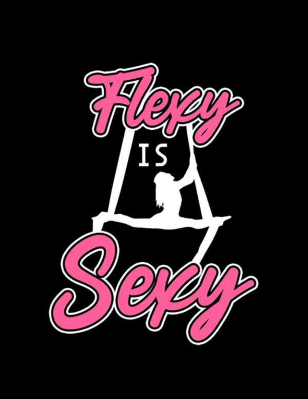 Aerial Silks Flexy Sexy Aerial Silk Aerialist Circus Acrobat Acrobatics Notebook: Collection Journal Subject 100 Lined pages 8.5x11 College Ruled Paper