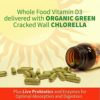 Garden of Life D3 - Vitamin Code Whole Food Raw D3 Vitamin Supplement, 2000 Iu, Dairy and Gluten Free, Vegetarian, 120 Capsules D3 with Organic Green Cracked Wall Chlorella Plus Probiotics - Image 4
