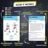 Flexies Pilates Bar Workout Cards - 58 Exercise Cards with Pilates Stick Work Out Postures, Instructions & Breathing Tips | Free Ring & Dry-Erase Marker to Create Your Customize Workout Planner Chart - Image 4