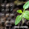 Plant Based Protein Powder Chocolate - Lactose & Dairy Free Protein Powder - Vegan Protein Shake Meal Replacement with Fava, Mung, Rice & Pea Protein, Low Carb, Keto, Sugar & Gluten Free, 21g - Image 8
