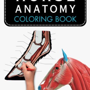 Horse Anatomy Coloring Book Horse Anatomy workbook Self Assessment Gift for Veterinary Students Nurses: 130 plus Horse Anatomy Incredibly Detailed ... Lateral view Cranial view Dorsal view etc.