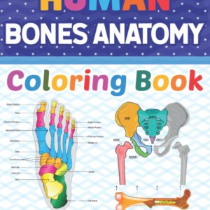Human Bones Anatomy Coloring Book: Human Bones Anatomy Coloring Book For Kids Adults Boys Girls Teens and Medical Students. Great Book For Learn and ... Gift for Human Anatomy Students & Teachers.
