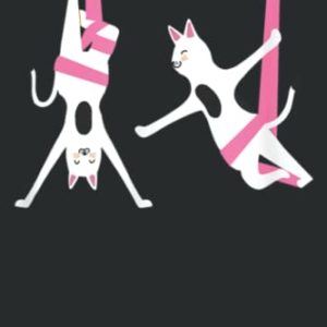 Aerial Silks Dancer I Air Yoga Acrobatics I Cat Aerialist: Lined Journal & Diary for Writing & Notes for Girls and Women, Memo Diary Subject Notebooks Planner, 6"x9"