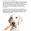 Dog Nutrition and Cookbook: The Simple Guide to Keeping Your Dog Happy and Healthy - Image 2
