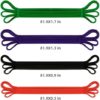 Pull Up Resistance Bands Set of 4 for Men and Women, Assistance Band for Exercise for Resistance Training Powerlifting, Gyms, Mobility Home Fitness, with Carrying Bag(4pcs) - Image 7