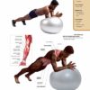 Ultimate Guide to Strength Training - Image 5