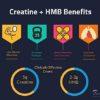 DNA Creatine HMB (Sparkling Pomegranate Punch) - Creatine + HMB for Men and Women, Increase Muscle Size and Strength, Improve Workout Recovery - Image 4