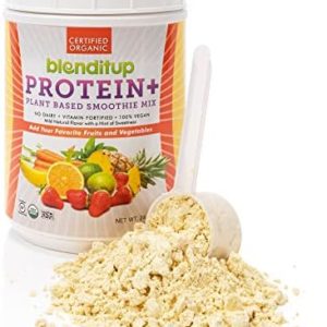 Organic Vegan Protein Smoothie Mix | Mild Natural Flavor with a Hint of Sweetness | Make Your Smoothie a Complete Meal | Gluten Free, USDA Organic Certified, KSA Kosher, Non-GMO w/ Ancient Grains & Vitamins | 24 Oz by BlenditUp