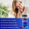 Calm Gummies | Stress Gummies Supplement with Ashwagandha, L-Theanine, GABA, Vitamin B6 & Lemon Balm | Supports Mood, Focus & Stress Relief | Vegan & Non-GMO | Natural Berry | 90 Gummies (2 Pack) - Image 4