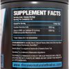 DNA Creatine HMB (Sparkling Pomegranate Punch) - Creatine + HMB for Men and Women, Increase Muscle Size and Strength, Improve Workout Recovery - Image 2