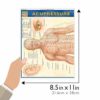 Acupressure (Quick Study Academic Outline) - Image 4
