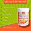 Organic Vegan Protein Smoothie Mix | Mild Natural Flavor with a Hint of Sweetness | Make Your Smoothie a Complete Meal | Gluten Free, USDA Organic Certified, KSA Kosher, Non-GMO w/ Ancient Grains & Vitamins | 24 Oz by BlenditUp - Image 3