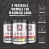 Ryse Element Series Loaded Creatine | Muscle Building Formula | 3 Forms of Creatine + Electrolytes, Betaine Anhydrous, & Peak ATP | 30 Servings (Baja Cooler) - Image 4
