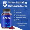 Calm Gummies | Stress Gummies Supplement with Ashwagandha, L-Theanine, GABA, Vitamin B6 & Lemon Balm | Supports Mood, Focus & Stress Relief | Vegan & Non-GMO | Natural Berry | 90 Gummies (2 Pack) - Image 3