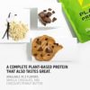 Ascent Plant Based Protein Powder - Non Dairy Vegan Protein, Zero Artificial Flavors & Sweeteners, Gluten Free, No Added Sugar,  4g BCAA, 2g Leucine - Chocolate Peanut Butter, 18 Servings - Image 6